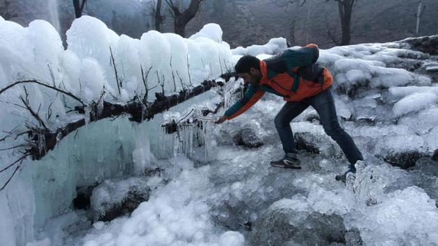 Icicles hang from a tree after snowfall at Kokernag, about a 100 km south of Srinagar, India. (Waseem Andrabi /HT Photo)