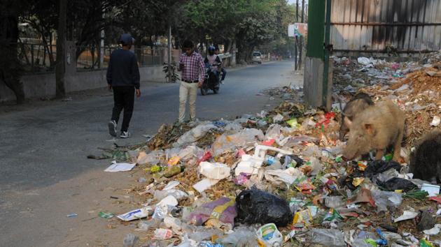 Garbage strewn along a road in Sector 15 part-2 on Wednesday.(Parveen Kumar/HT Photo)