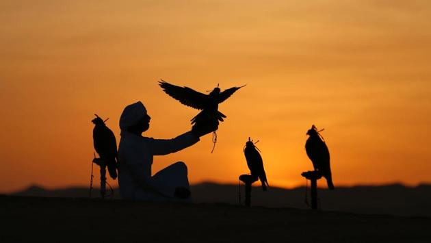 An Emirati from the Qubaisi tribe trains his falcons a day before the commencement of Moreeb Dune Festival. (Karim Sahib/AFP) An Emirati from the Qubaisi tribe trains his falcons a day before the commencement of Moreeb Dune Festival. (Karim Sahib/AFP)
