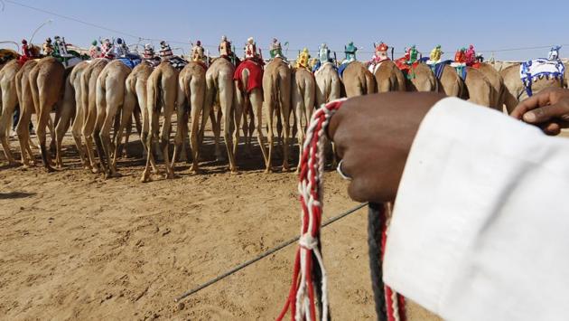 Participants take positions before the race. This festival offers a week-long celebration of UAE heritage with competitions and activities including bike riding and camping in the desert of Moreeb Dune. (Karim Sahib/AFP) Participants take positions before the race. This festival offers a week-long celebration of UAE heritage with competitions and activities including bike riding and camping in the desert of Moreeb Dune. (Karim Sahib/AFP)