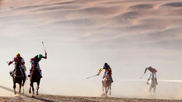The festival, which attracts participants from around the Gulf region, includes a variety of races (cars, bikes, falcons, camels and horses) or other activities aimed at promoting the country's folklore. (Karim Sahib/AFP) The festival, which attracts participants from around the Gulf region, includes a variety of races (cars, bikes, falcons, camels and horses) or other activities aimed at promoting the country's folklore. (Karim Sahib/AFP)