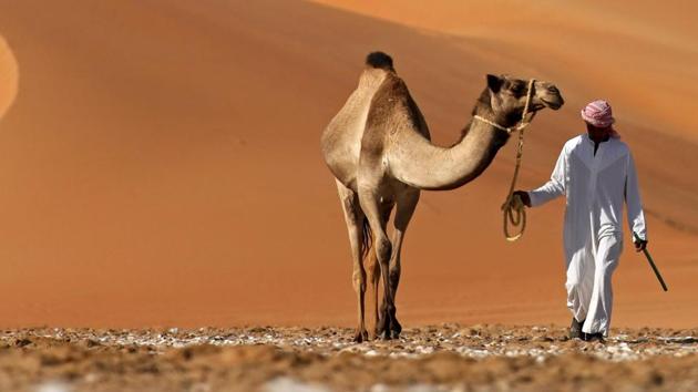 A man walks with his camel across the Liwa desert as the participants gather for Liwa 2017 Moreeb Dune Festival (Karim Sahib/AFP) A man walks with his camel across the Liwa desert as the participants gather for Liwa 2017 Moreeb Dune Festival (Karim Sahib/AFP)