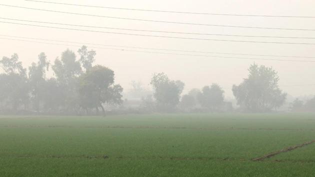 Warm winter interrupts life cycle of rabi crops, resulting in low production. The fall in production, the experts fear, could lead to distress among farmers and contribute to inflation in food grain, pulses and oilseeds. (HT Photo) Warm winter interrupts life cycle of rabi crops, resulting in low production. The fall in production, the experts fear, could lead to distress among farmers and contribute to inflation in food grain, pulses and oilseeds. (HT Photo)