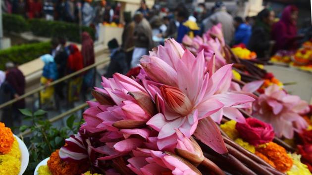 Lotuses at the Mahabodhi temple where the Buddha is said to have attained enlightenment.  (AFP PHOTO / Dibyangshu SARKAR) 