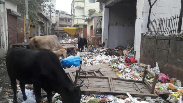 The east Delhi areas that have been hit the most are: Laxmi Nagar, Preet Vihar, Krishna Nagar, New Ashok Nagar, Vinod Nagar, Khichripur and other adjoining areas. The east Delhi areas that have been hit the most are: Laxmi Nagar, Preet Vihar, Krishna Nagar, New Ashok Nagar, Vinod Nagar, Khichripur and other adjoining areas.