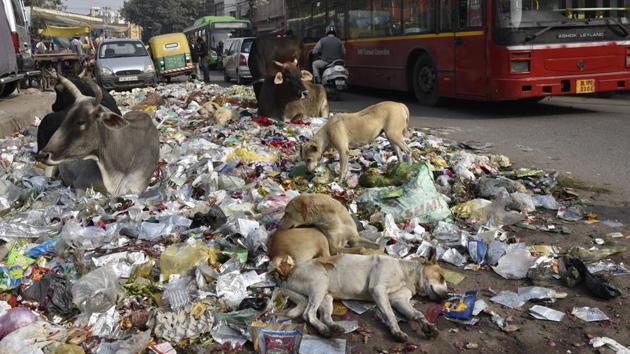 Garbage on the Kureji bus stand due to East Delhi MCD Workers on strike in New Delhi, India, on Sunday, January 8, 2017. (Arvind Yadav/HT PHOTO)