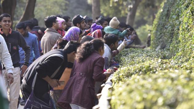 Curious visitors try and catch a glimpse of animals inside an enclosure hidden from public view. (Virendra Singh Gosain/HT PHOTO) Curious visitors try and catch a glimpse of animals inside an enclosure hidden from public view. (Virendra Singh Gosain/HT PHOTO)