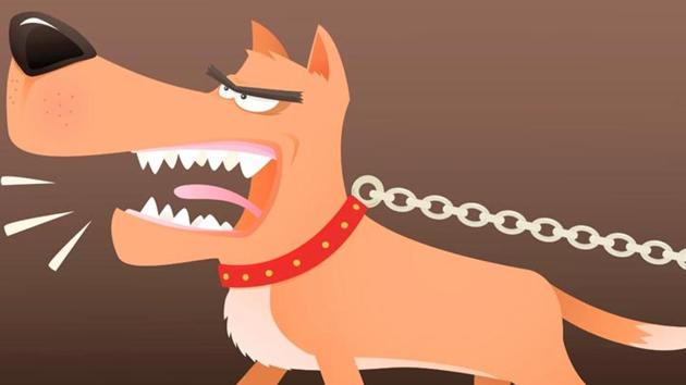 The man was bitten by the pet Rottweiler of a Burmamines-based copper trader on January 6 (Shutterstock) The man was bitten by the pet Rottweiler of a Burmamines-based copper trader on January 6 (Shutterstock)