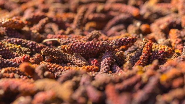 The Indian long pepper contains a chemical that could stop your body from producing an enzyme that is commonly found in tumours in large numbers. (Shutterstock) The Indian long pepper contains a chemical that could stop your body from producing an enzyme that is commonly found in tumours in large numbers. (Shutterstock)