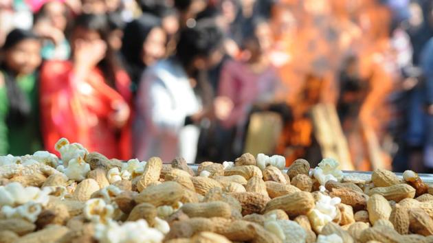 Close-up of peanuts during Lohri celebration at MCM College, Sector 36 in Chandigarh on Friday. (Anil Dayal/HT Photo)