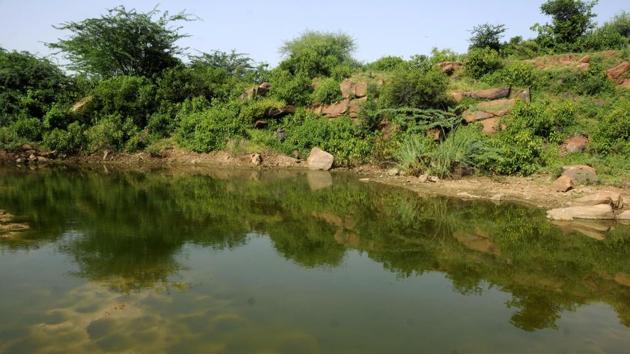 The 350-acre Ghata jheel in Sector 58 was once counted among the biggest natural water bodies of the city. But rapid urbanisation has eaten into its area. (Parveen Kumar/HT FILE) The 350-acre Ghata jheel in Sector 58 was once counted among the biggest natural water bodies of the city. But rapid urbanisation has eaten into its area. (Parveen Kumar/HT FILE)