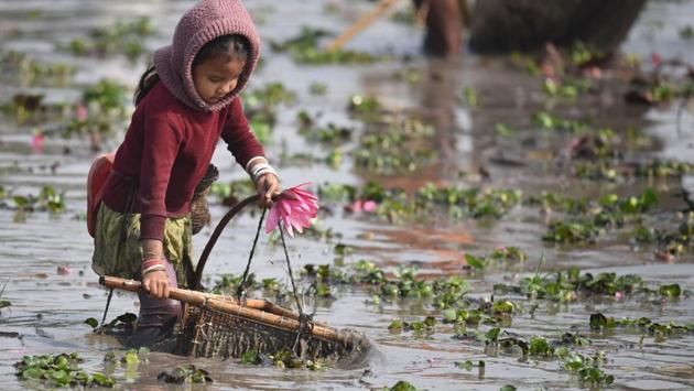 A young girl takes part in a community fishing event during the Bhogali Bihu celebrations at Goroimari Lake in Panbari, some 50 kms from Guwahati. Bhogali Bihu is a harvest festival celebrated in Assam. (Biju Boro / AFP) A young girl takes part in a community fishing event during the Bhogali Bihu celebrations at Goroimari Lake in Panbari, some 50 kms from Guwahati. Bhogali Bihu is a harvest festival celebrated in Assam. (Biju Boro / AFP)