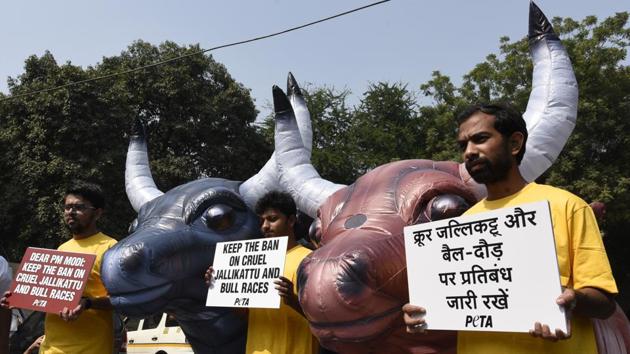 PETA activists protest with inflatable bulls in New Delhi, urging the government to uphold the Jallikattu ban.(Sonu Mehta/HT File Photo)