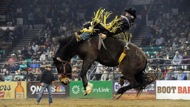Professional bareback rider Tanner Aus of Pennock, Minnesota, competes during the finals of the ‘Colorado vs The World Rodeo’ at the National Western Stock Show in Denver, Colorado. (Jason Connolly / AFP) Professional bareback rider Tanner Aus of Pennock, Minnesota, competes during the finals of the ‘Colorado vs The World Rodeo’ at the National Western Stock Show in Denver, Colorado. (Jason Connolly / AFP)