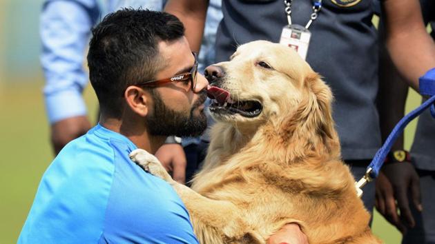 Virat Kohli has enjoyed a fabulous time as Test skipper and he will be aiming to replicate the success in ODIs and T20Is. (AFP) Virat Kohli has enjoyed a fabulous time as Test skipper and he will be aiming to replicate the success in ODIs and T20Is. (AFP)