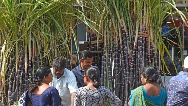 People buy sugarcane ahead of the Pongal festival in Mumbai. (Pratik Chorge/HT PHOTO)