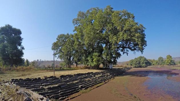 Discovered along the wall is a square pond with sandstone banks and ancient stone temples, whose styles go back 1,000 years.  But who were the builders? (Pratik Chorge/HT PHOTO) 