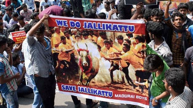 People protest the ban on Jallikattu in Madurai.(PTI File Photo)