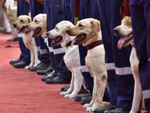 Deployment of highly trained dogs at key locations, like at the inter-state borders had helped Punjab police in doing away the need for physical checking of each and every vehicle. (HT File Photo) Deployment of highly trained dogs at key locations, like at the inter-state borders had helped Punjab police in doing away the need for physical checking of each and every vehicle. (HT File Photo)