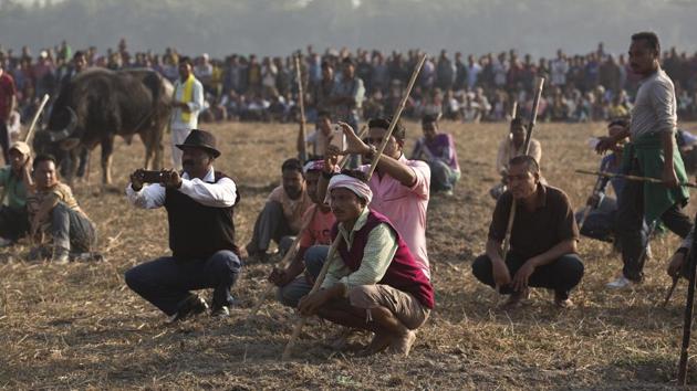 Villagers and volunteers watch a traditional buffalo fight held as part of Magh Bihu festivities at Boidyabori village, east of Gauhati, on Sunday (Anupam Nath / AP) 