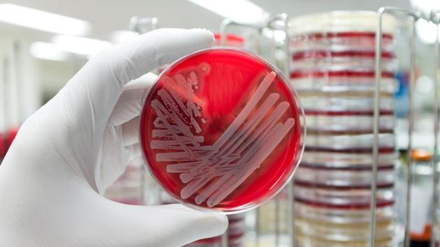 Antibiotic misuse and overuse rampant among patients in the country, say doctors. (Getty Images) Antibiotic misuse and overuse rampant among patients in the country, say doctors. (Getty Images)