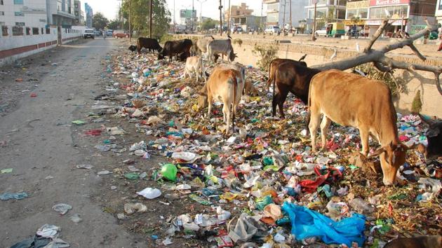 The city produces around 1,500 metric tonnes of solid waste. (HT Photo) The city produces around 1,500 metric tonnes of solid waste. (HT Photo)
