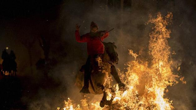 The ritual is in honour of Saint Anthony the Abbot, the patron saint of domestic animals. (AP) The ritual is in honour of Saint Anthony the Abbot, the patron saint of domestic animals. (AP)