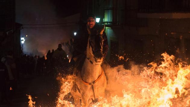 Some might see an element of animal cruelty as well. (AFP) Some might see an element of animal cruelty as well. (AFP)