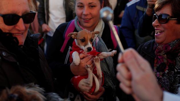 Dogs are blessed by a priest outside San Anton Church in the neighbourhood of Churriana, in Malaga, Spain. (Jon Nazca/REUTERS) Dogs are blessed by a priest outside San Anton Church in the neighbourhood of Churriana, in Malaga, Spain. (Jon Nazca/REUTERS)