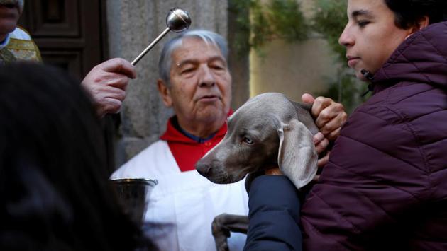A priest blesses a dog after a mass outside San Anton Church in Madrid, Spain. (Juan Medina/REUTERS) A priest blesses a dog after a mass outside San Anton Church in Madrid, Spain. (Juan Medina/REUTERS)