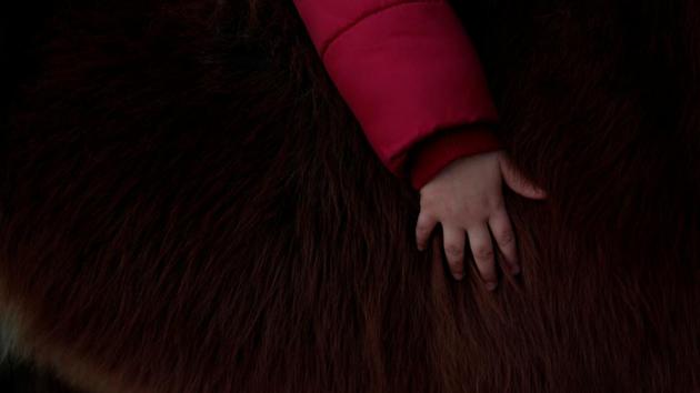 A girl holds a pony, Rumbera, after a priest blessed it, outside San Anton Church in the neighbourhood of Churriana, in Malaga, Spain. (Jon Nazca/REUTERS) A girl holds a pony, Rumbera, after a priest blessed it, outside San Anton Church in the neighbourhood of Churriana, in Malaga, Spain. (Jon Nazca/REUTERS)