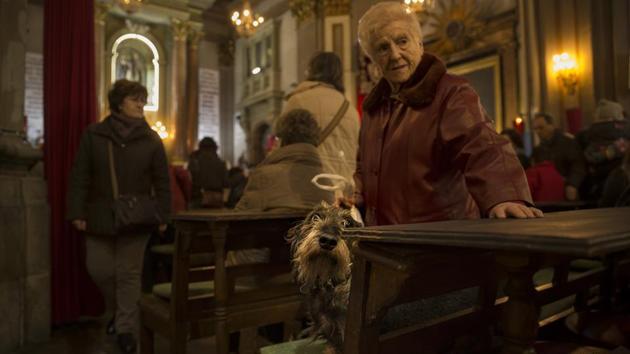 A dog stands on top of a chair in San Anthony's church during the feast of Saint Anthony, Spain's patron saint of animals, in Madrid. (Daniel Ochoa de Olza/AP) A dog stands on top of a chair in San Anthony's church during the feast of Saint Anthony, Spain's patron saint of animals, in Madrid. (Daniel Ochoa de Olza/AP)