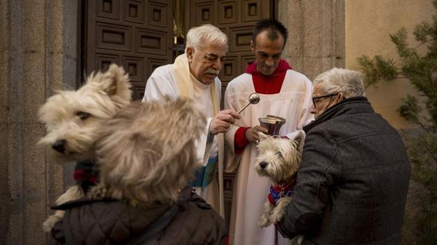 A priest blesses a dog during the feast of Saint Anthony, in Madrid. (Daniel Ochoa de Olza/AP) A priest blesses a dog during the feast of Saint Anthony, in Madrid. (Daniel Ochoa de Olza/AP)
