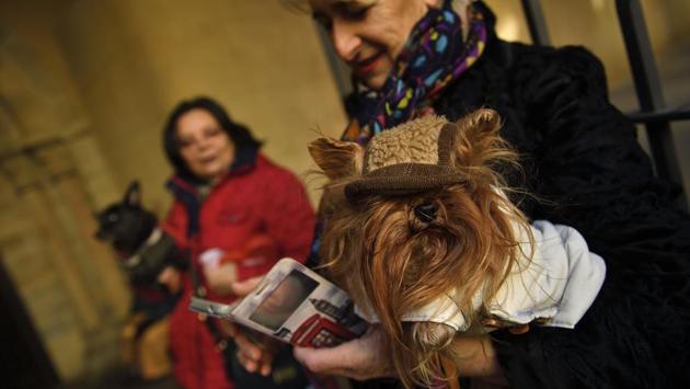 A woman carries her pet outside the San Nicolas church during the feast of St. Anthony, Spain's patron saint of animals, in Pamplona, northern Spain. (Alvaro Barrientos/AP) A woman carries her pet outside the San Nicolas church during the feast of St. Anthony, Spain's patron saint of animals, in Pamplona, northern Spain. (Alvaro Barrientos/AP)