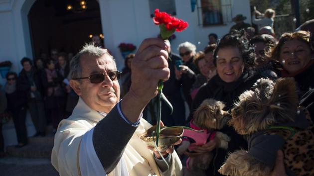 Dogs are blessed by a priest holding a carnation in Mijas on San Anton Abad's Day (Saint Anthony). (JOrge Guerrero/AFP) Dogs are blessed by a priest holding a carnation in Mijas on San Anton Abad's Day (Saint Anthony). (JOrge Guerrero/AFP)