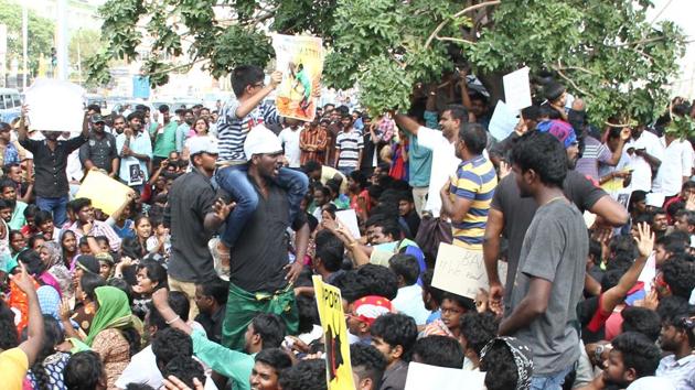 The Madras high court refused to “interfere” in the protests, saying the matter is being heard in the Supreme Court which last week refused to pass an order before the Pongal celebrations and allow the popular sport. (V Srinivasulu/HT Photo) The Madras high court refused to “interfere” in the protests, saying the matter is being heard in the Supreme Court which last week refused to pass an order before the Pongal celebrations and allow the popular sport. (V Srinivasulu/HT Photo)