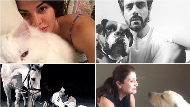 Some adorable pictures of the stars with their four-legged friends