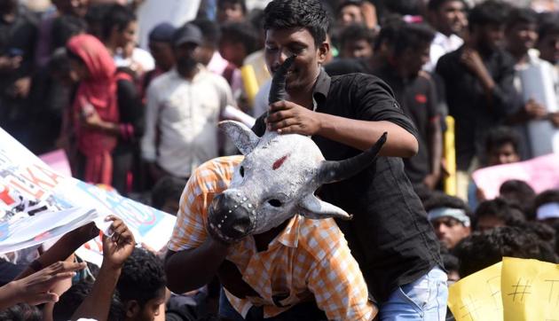 Students shout slogans and hold placards during a demonstration against the ban on the Jallikattu, a bull-taming ritual, at Marina Beach at Chennai on Thursday. They also called for a ban on animal rights orgnisation PETA.(AFP)