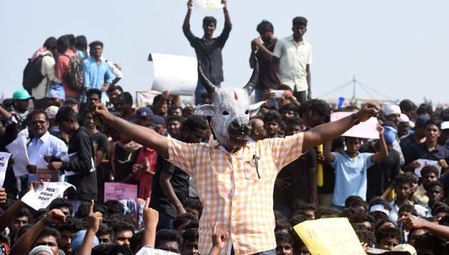 Students shout slogans and hold placards during a demonstration against the ban on the Jallikattu, at Marina Beach in Chennai on Thursday.(AFP)