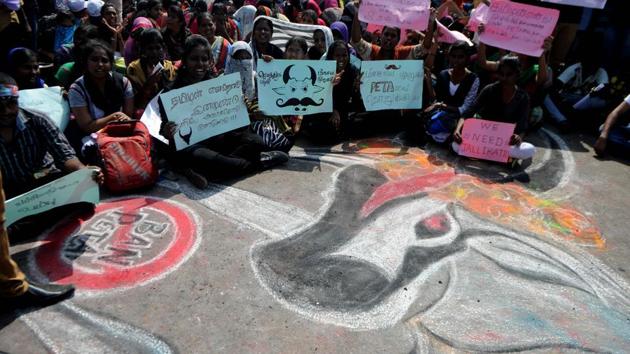 Students shout slogans and hold placards as they sit beside a mural of a bull during a demonstration against the ban on Jallikattu, at Marina Beach at Chennai. (AFP Photo) Students shout slogans and hold placards as they sit beside a mural of a bull during a demonstration against the ban on Jallikattu, at Marina Beach at Chennai. (AFP Photo)