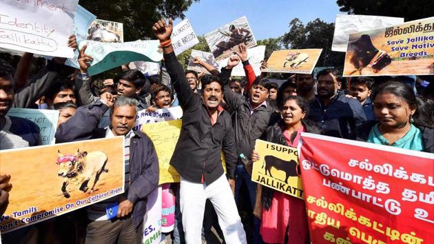 Tamil lawyers in the Supreme Court shout slogans during a protest march from Mandi House to Jantar Mantar against the ban on bull-taming sport Jallikattu and animal rights group PETA, in New Delhi on Thursday.(PTI)