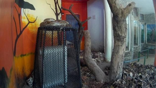 A python sits over an oil heater to get warmth in Chattbir Zoo on Thursday. (Ravi Kumar/HT Photo)