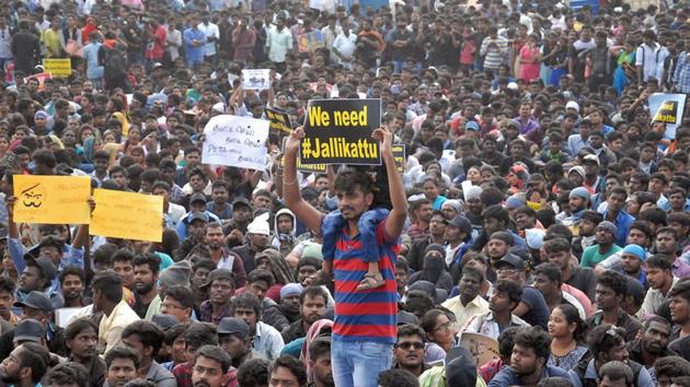 This is because the “Tamil Spring” — as some are calling the Jallikattu protests —has no political backing or leaning, though the underpinning of the mobilisation is indeed political(Reuters)