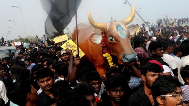 Protesters carry a replica of a bull as they shout slogans during a demonstration against the ban on Jallikattu in Chennai.(AFP Photo) Protesters carry a replica of a bull as they shout slogans during a demonstration against the ban on Jallikattu in Chennai.(AFP Photo)