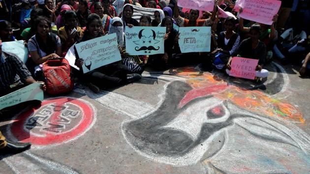 Indian students shout slogans and hold placards as they sit beside a mural of a bull during a demonstration against the ban on the Jallikattu bull taming ritual, and calling for a ban on animal rights organisation PETA, at Marina Beach at Chennai on Thursday.(AFP Photo)