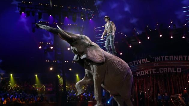 Erwin Frankello's elephant troop performs during the opening of the The 41st International Circus Festival, which will take place from 19 to 29 January 2017. (AFP)