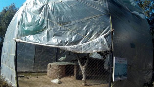 A shelter for birds to save them from the chilly winters at Chhatbir Zoo. (Ravi Kumar/HT Photo)