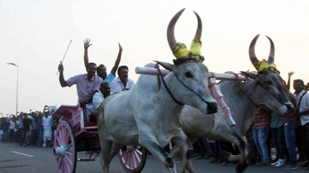 People take part in protest against ban on Jallikattu in Coimbatore on Thursday.(PTI Photo)