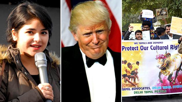 A combination photo of the biggest newsmakers of the week (From L to R) Zaira Wasim, Donald Trump and Jallikattu ban protesters. A combination photo of the biggest newsmakers of the week (From L to R) Zaira Wasim, Donald Trump and Jallikattu ban protesters.
