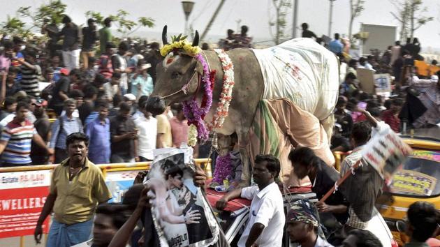 Youngsters and students participate in a protest to lift the ban on Jallikattu and impose ban on PETA, at Kamarajar Salai, Marina Beach in Chennai on Friday. (PTI Photo) Youngsters and students participate in a protest to lift the ban on Jallikattu and impose ban on PETA, at Kamarajar Salai, Marina Beach in Chennai on Friday. (PTI Photo)